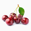 Featured wholesale product preview